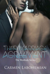 Image of THEIR MARRIAGE AGREEMENT
